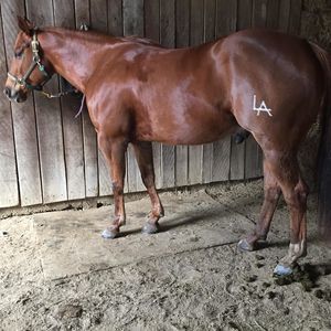 Meet your Posher, Michele